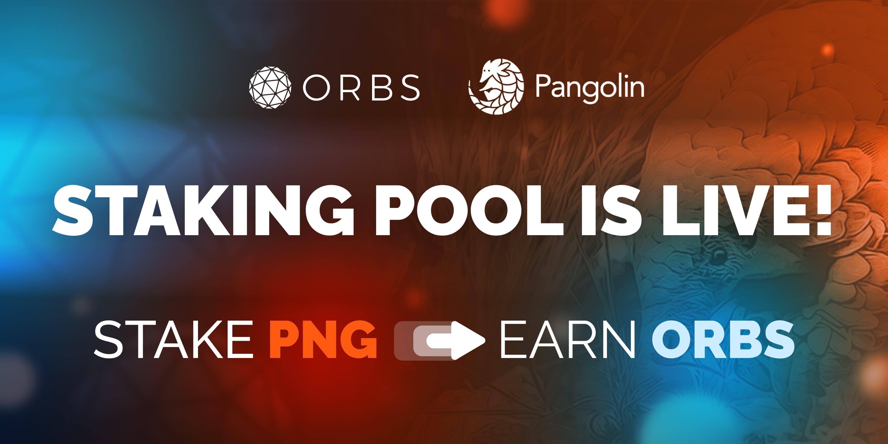 nov-update-stakingpools.jpeg