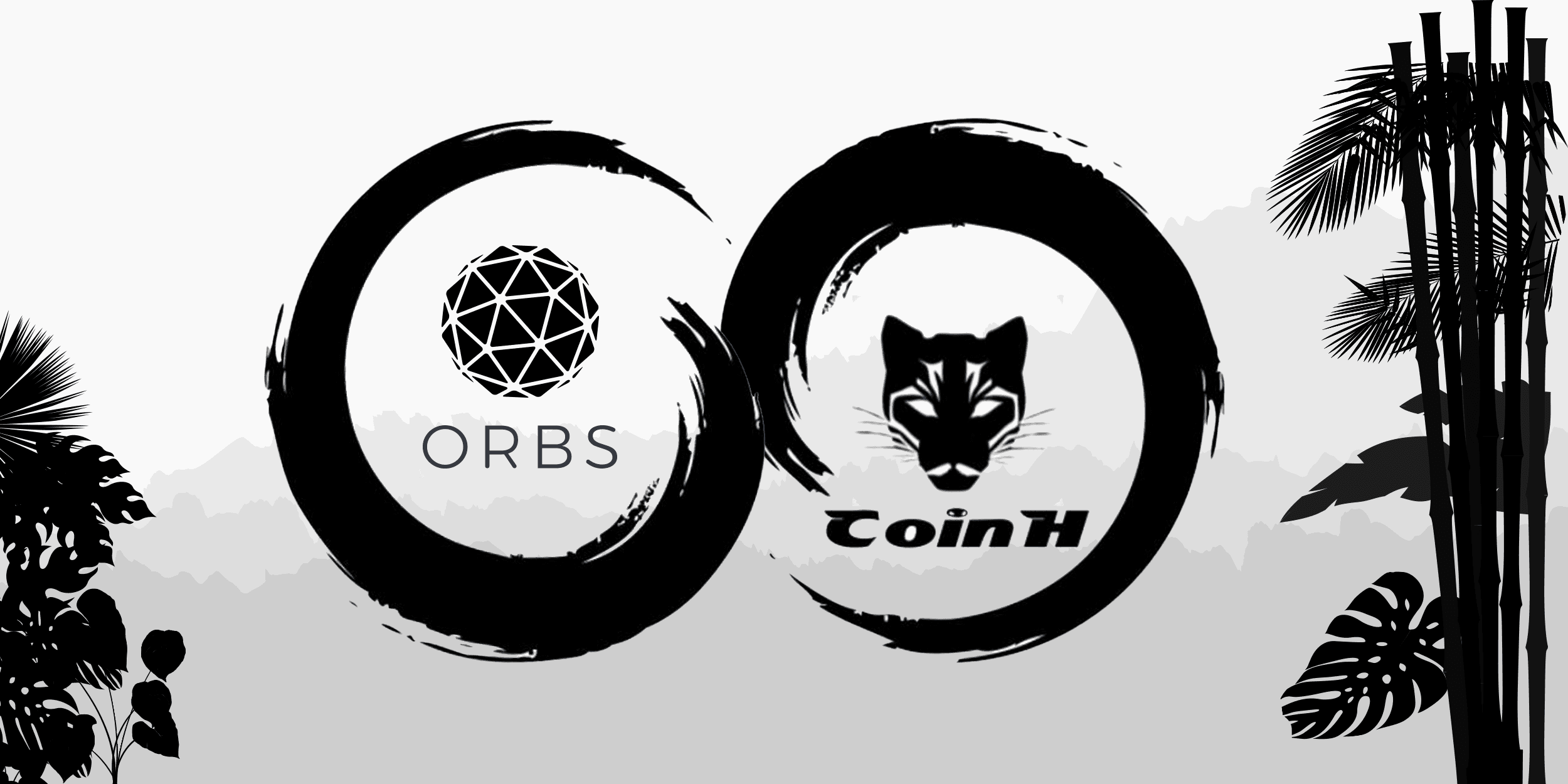 New Orbs Guardian Spotlight: Coin H