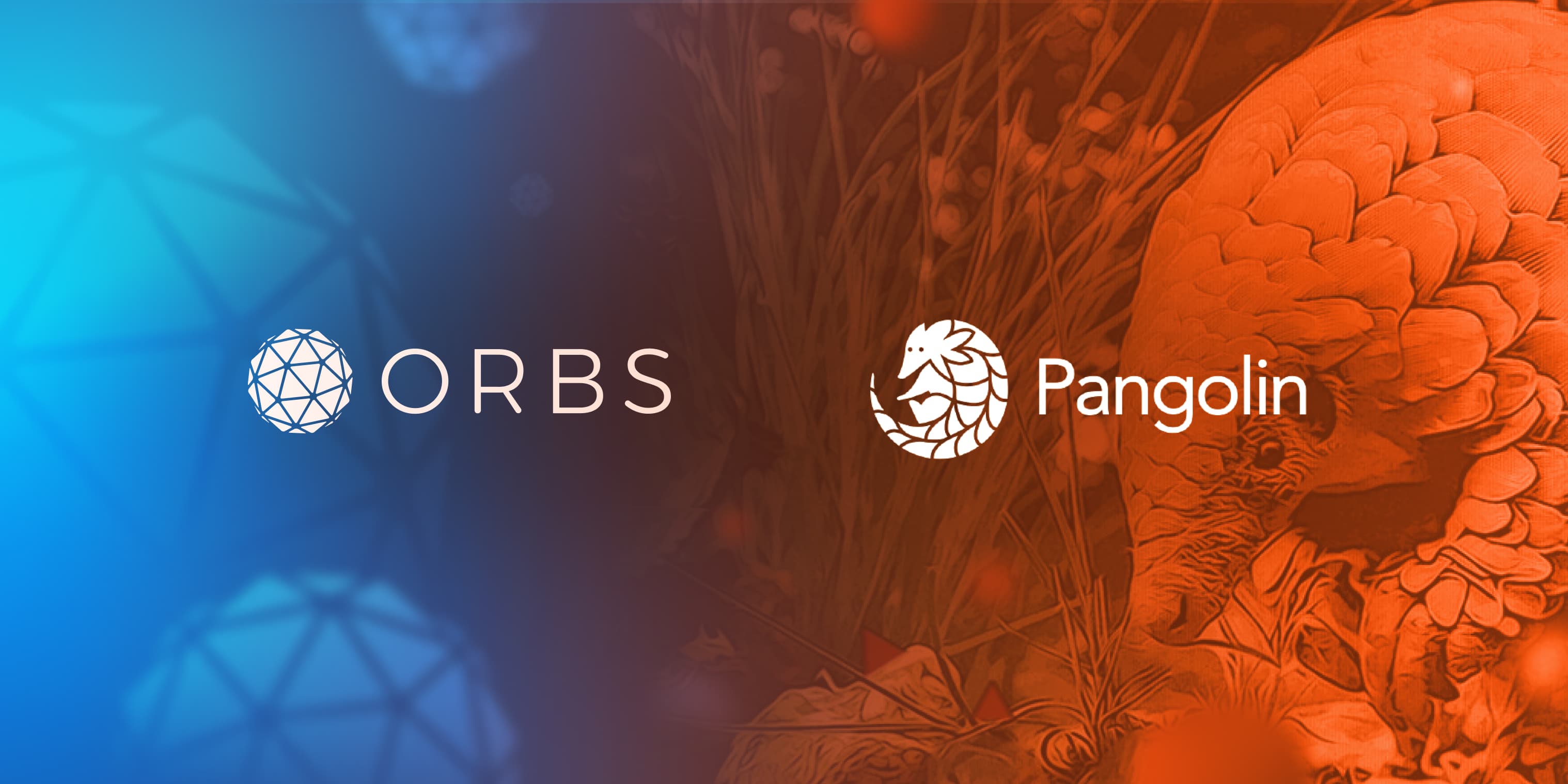 ORBS is Now Available on Pangolin!