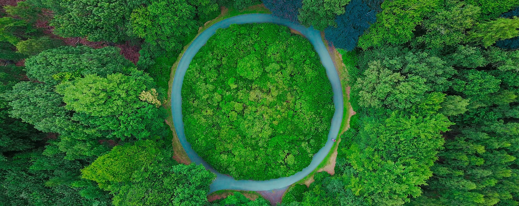A Sustainable Token Economy Cannot Be Inflationary